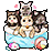대모험 펫 박스