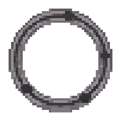 타락한 화양연화 날개 타락한 화양연화 날개