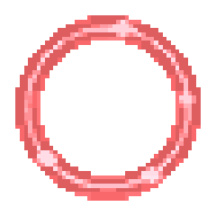 열정의 화양연화 날개 열정의 화양연화 날개