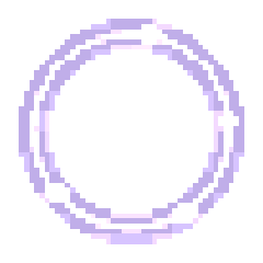 아련한 화양연화 날개 아련한 화양연화 날개