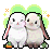 전장의 귀염둥이 펫 박스