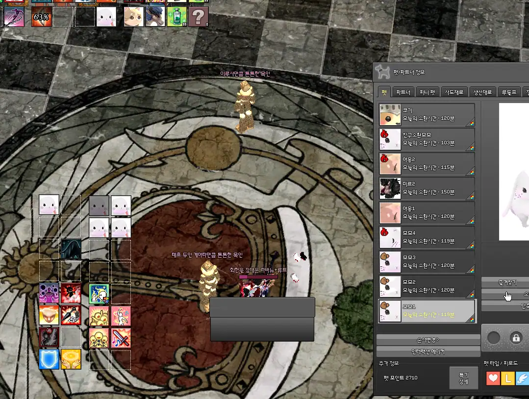 죽은 펫이 슬롯.webp